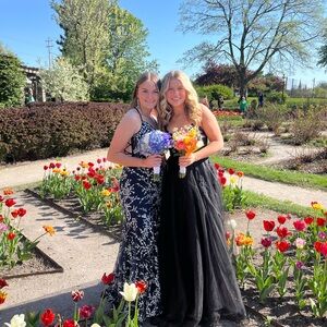 Windsor Black Lace Dress